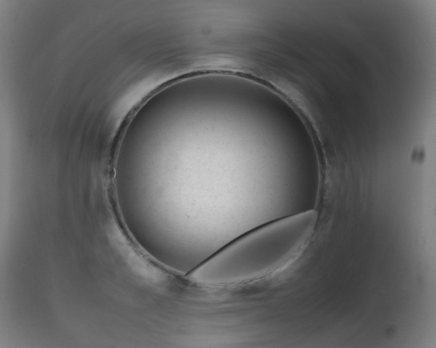 X0000112490989200908241321