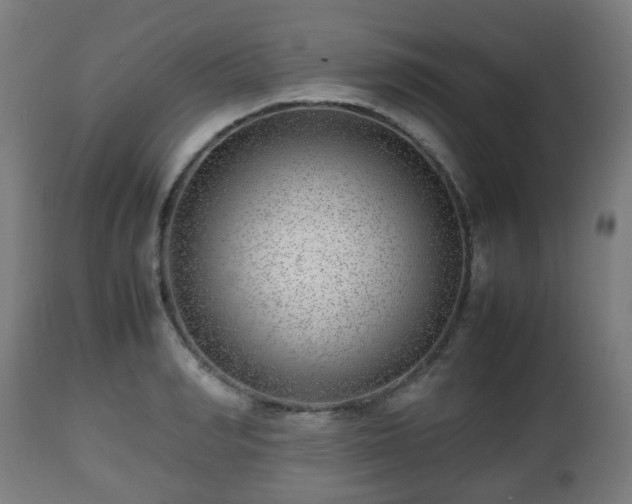 X0000112490990200908241321