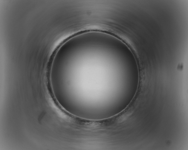 X0000112490991200908241321