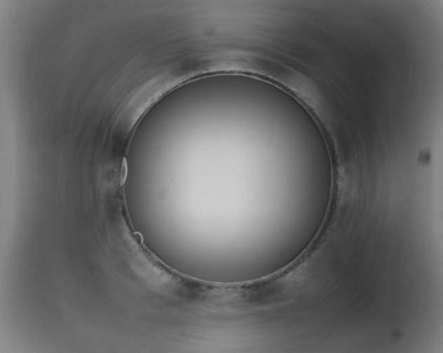 X0000112490993200908241321