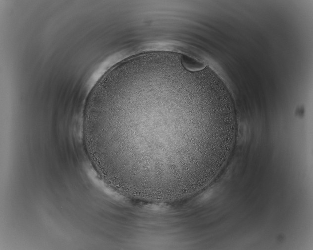 X0000112490994200908241321