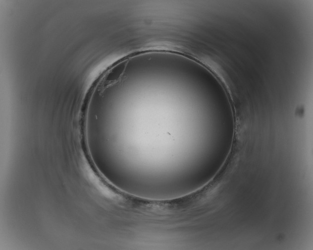 X0000112490995200908241321