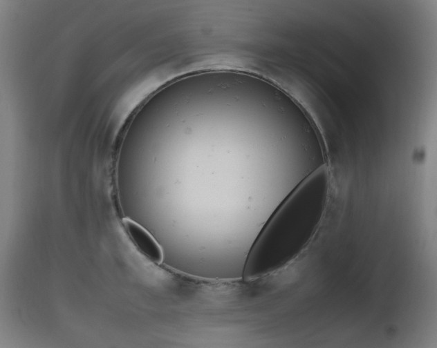 X0000112490997200908241321