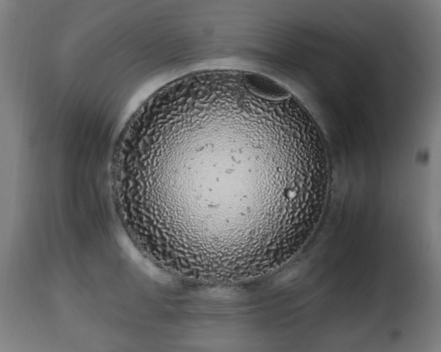 X0000112490998200908241321