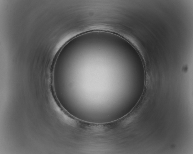 X0000112490999200908241321