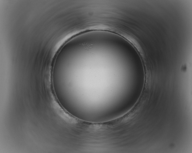 X0000112491000200908241321