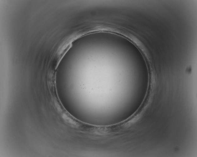 X0000112491001200908241321