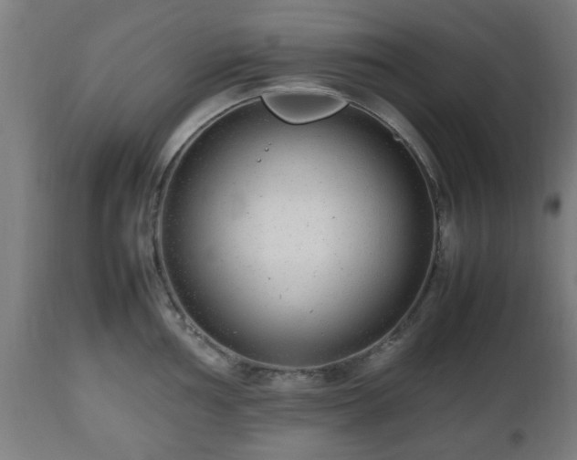 X0000112491002200908241321