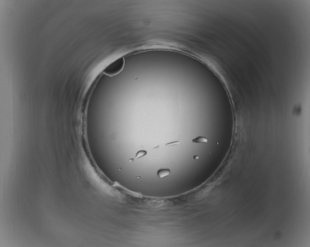 X0000112491003200908241321