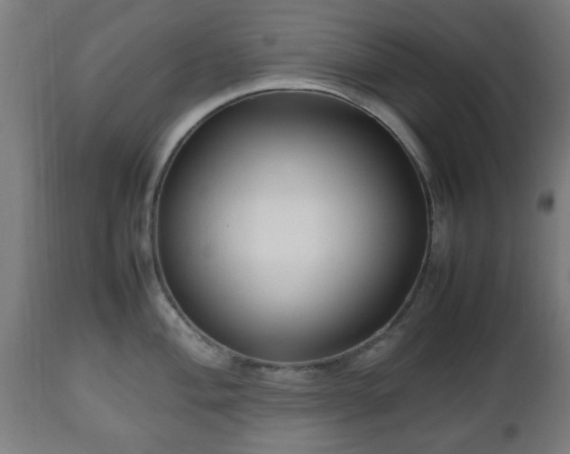 X0000112491004200908241321