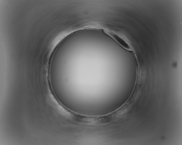 X0000112491005200908241321