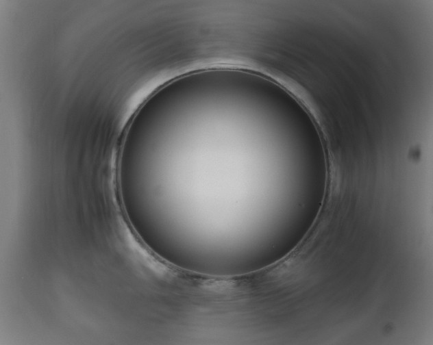 X0000112491006200908241321