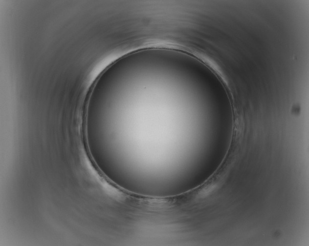 X0000112491007200908241321