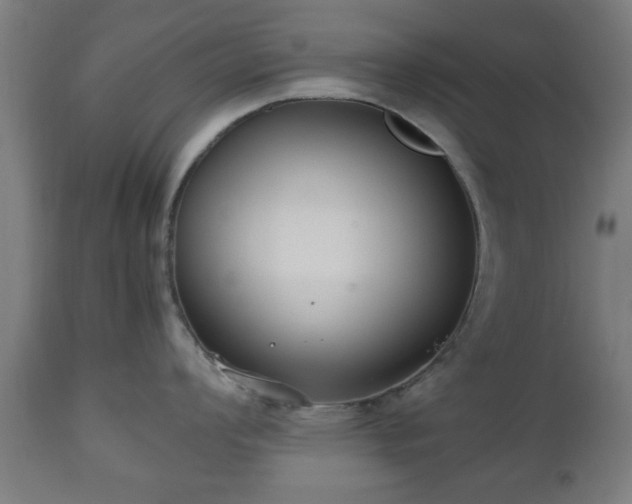 X0000112491008200908241321