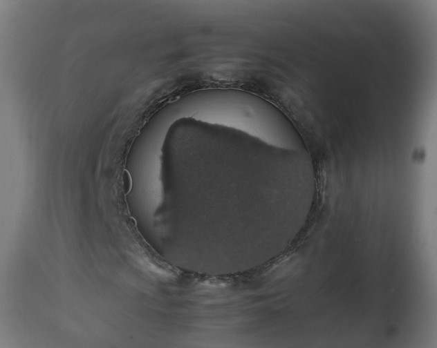 X0000112491009200908241320