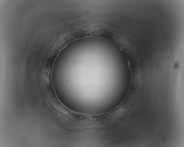 X0000112491010200908241320