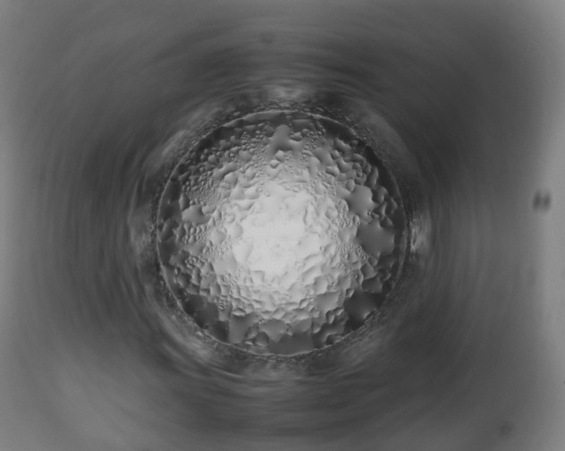 X0000112491011200908241320