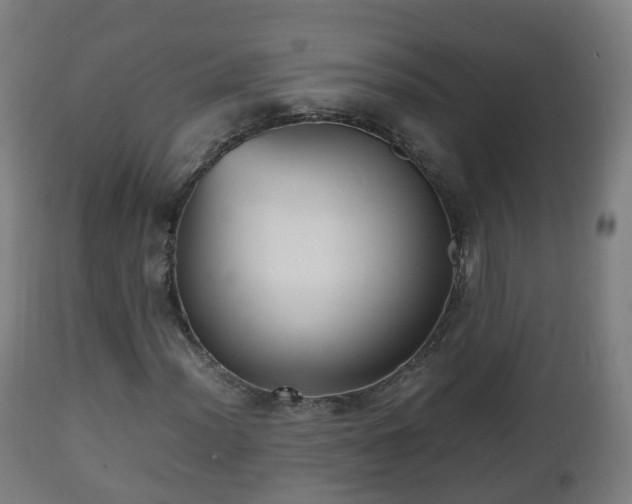 X0000112491012200908241320