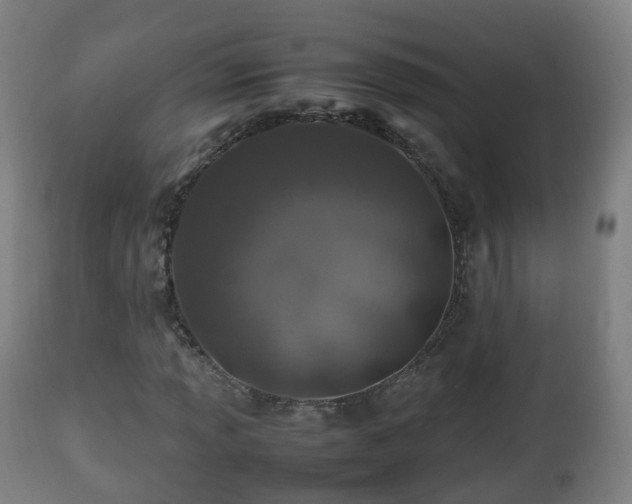 X0000112491013200908241320