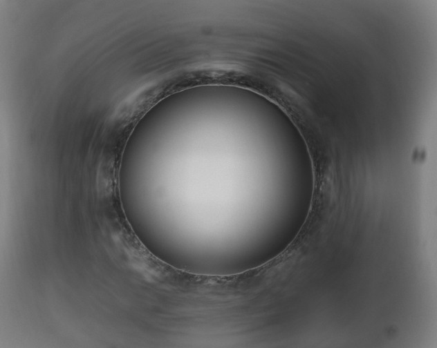 X0000112491014200908241320