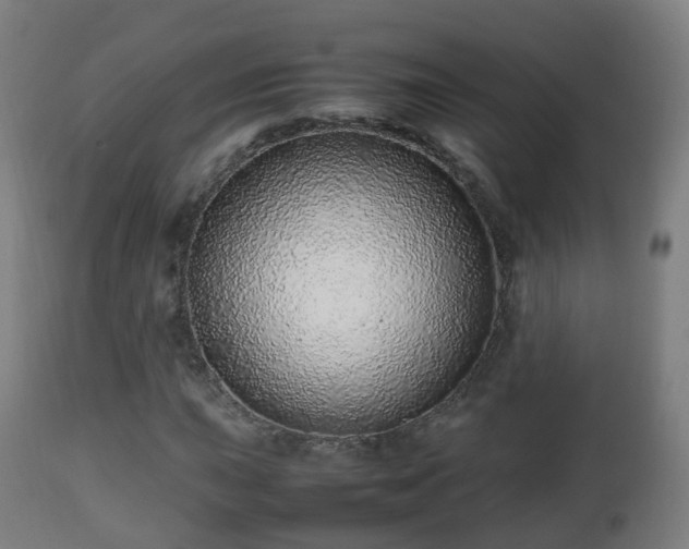 X0000112491015200908241320