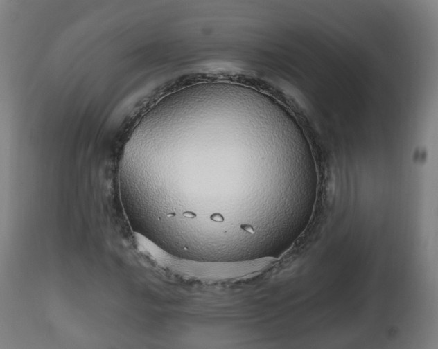 X0000112491016200908241320