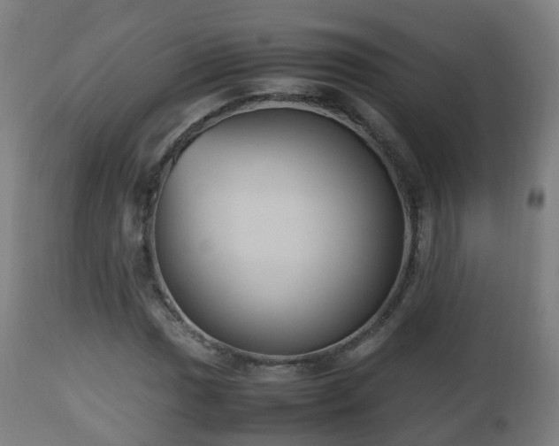 X0000112491017200908241320