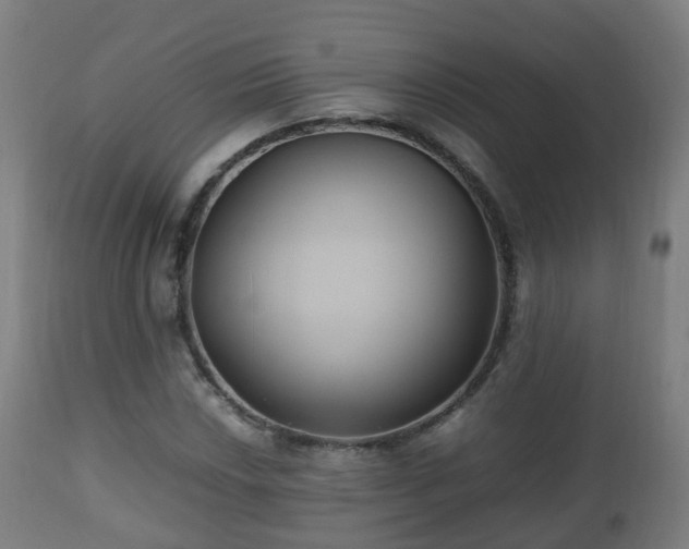 X0000112491018200908241320