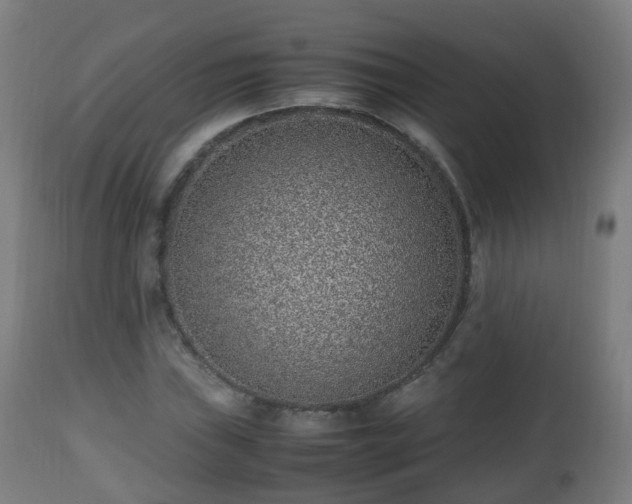 X0000112491019200908241320