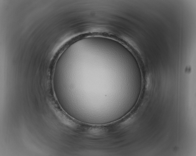 X0000112491021200908241320