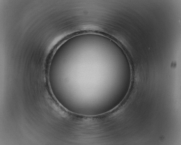 X0000112491022200908241321