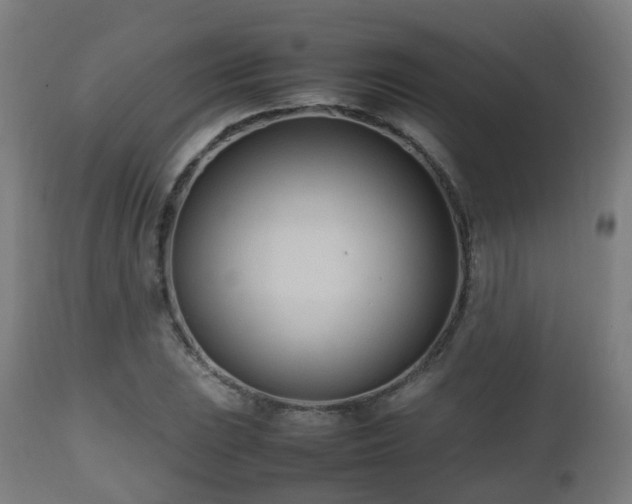 X0000112491023200908241321