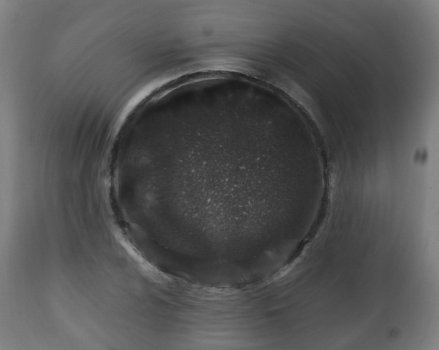 X0000112491024200908241321