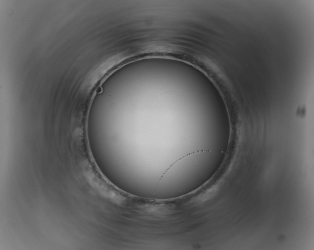 X0000112491025200908241321