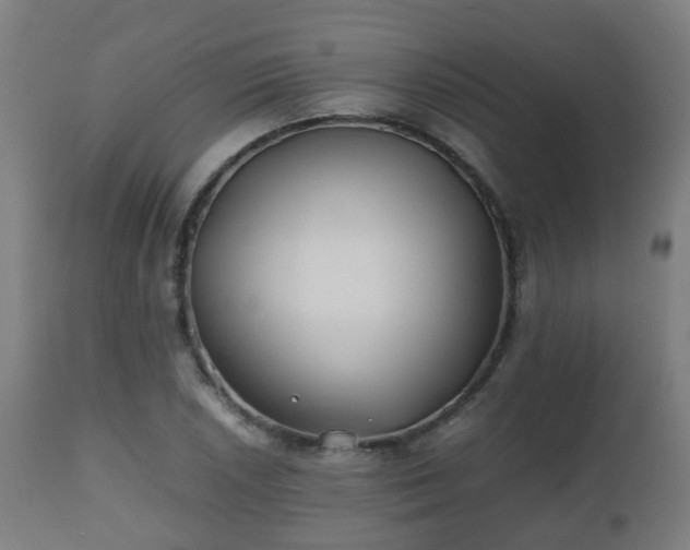 X0000112491026200908241321