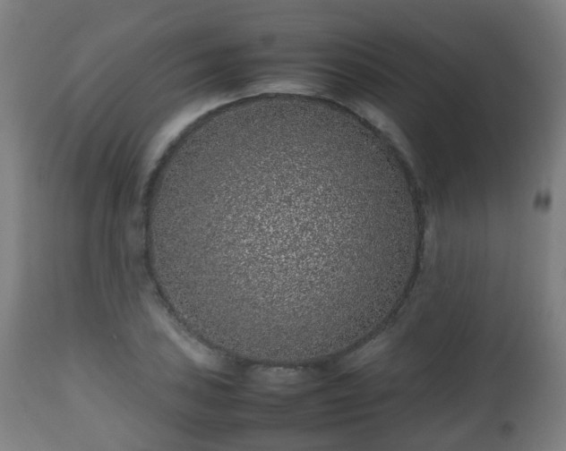 X0000112491027200908241321