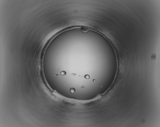 X0000112491028200908241321