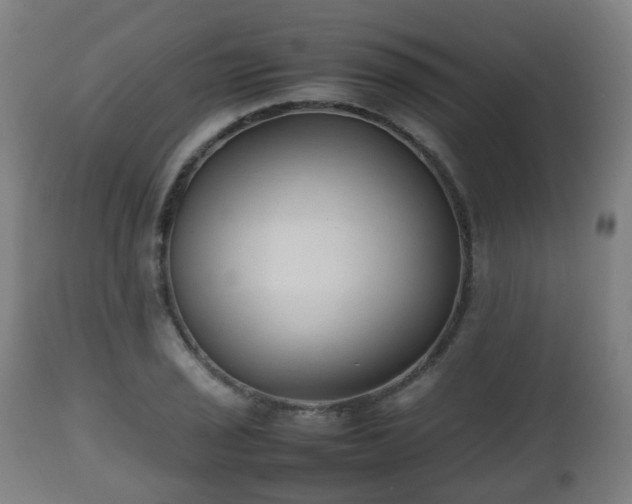 X0000112491029200908241321