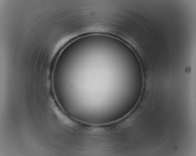 X0000112491030200908241321