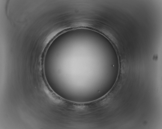 X0000112491031200908241321