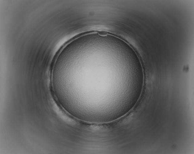 X0000112491032200908241321