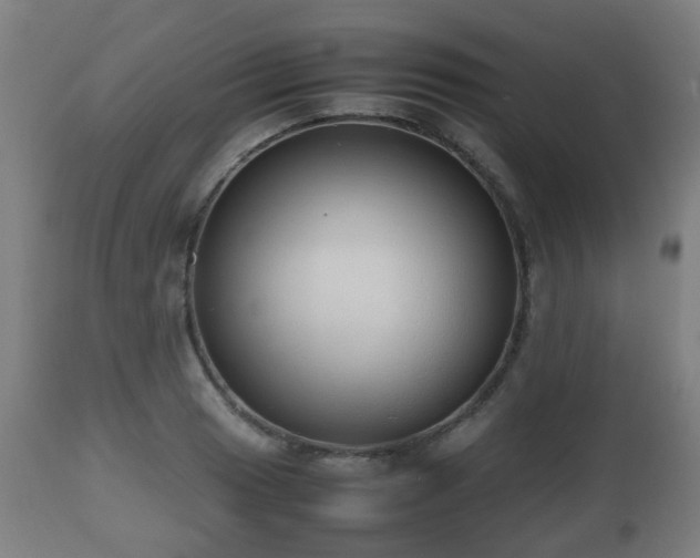 X0000112491033200908241321