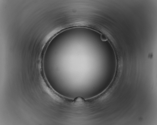 X0000112491034200908241321