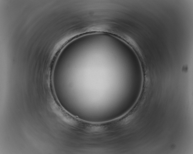 X0000112491035200908241321