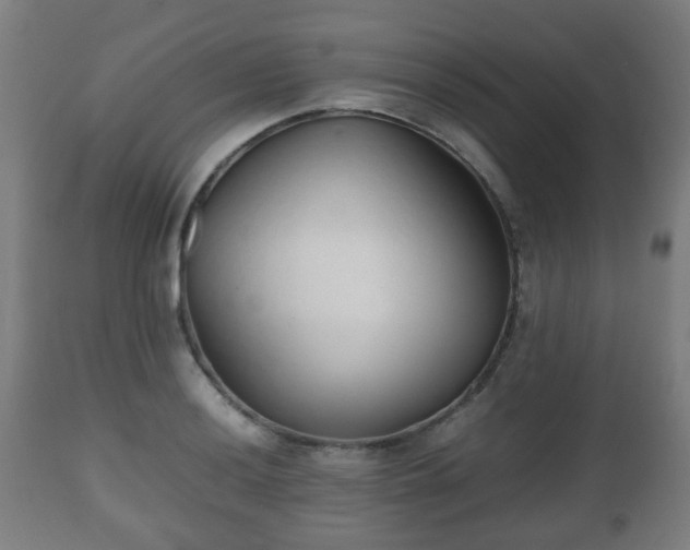 X0000112491036200908241321