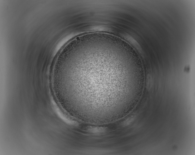 X0000112491039200908241321