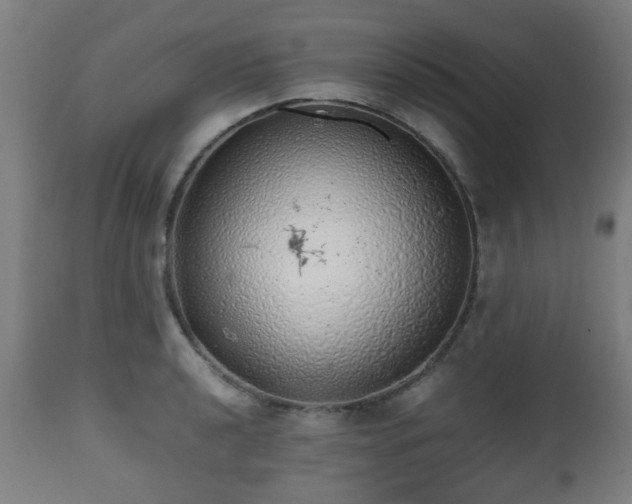 X0000112491040200908241321