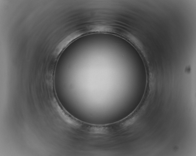 X0000112491041200908241321