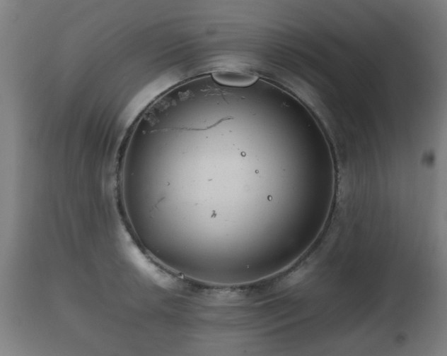 X0000112491042200908241321