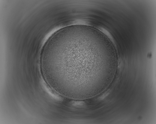 X0000112491043200908241321